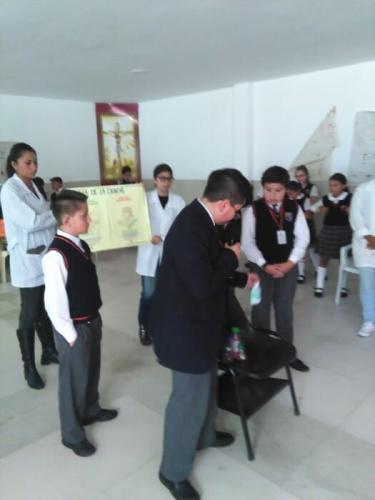 galeria-proy-fin-ano-2017-23