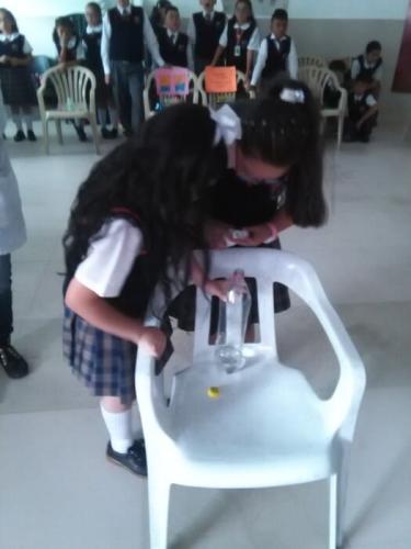 galeria-proy-fin-ano-2017-25