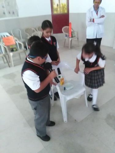 galeria-proy-fin-ano-2017-27