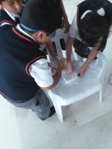 galeria-proy-fin-ano-2017-28