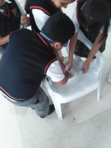 galeria-proy-fin-ano-2017-29