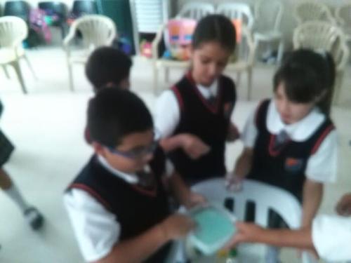 galeria-proy-fin-ano-2017-30