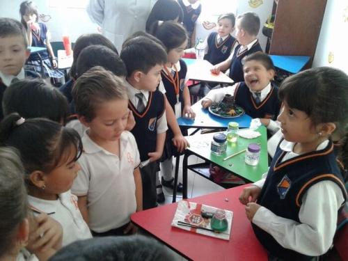 galeria-proy-fin-ano-2017-4