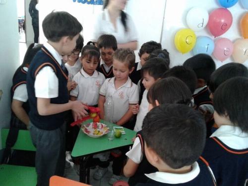 galeria-proy-fin-ano-2017-8